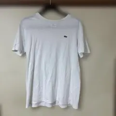 LACOSTE Tシャツ　サイズ4