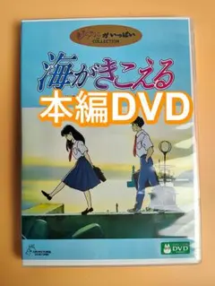 海がきこえる 人気名作アニメ劇場版 正編アニメDVD 新品未開封