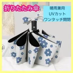 Item thumbnail for item dce377e2-9dca-4d57-98af-624734b9a971