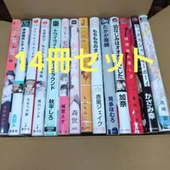 BLコミック　まとめ売り　あいしていると言ってみろ!＋他　全14冊セット