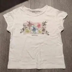 【UNIQLO】ポールアンドジョーTシャツ