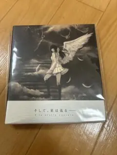 天ノ少女 サウンドトラック Caelum 初回限定版 未開封 Caelum(「天ノ少女」オリジナルサウンドトラック)／Various
