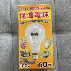 Item thumbnail for item 36a7c9ec-3fc2-4635-b5eb-a7408187ce05