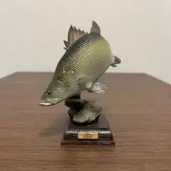 日本の清流 アカメ