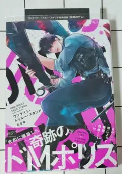 ワンナイト・トゥルー・スタンド