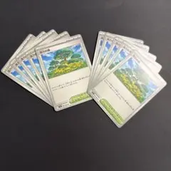 活力の森　10枚