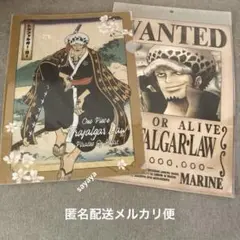 A4クリアファイル 2種 ワンピース ONE PIECEトラファルガー・ロー