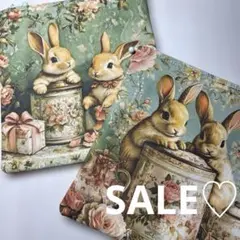 Item thumbnail for item ac84a5cb-7e16-422d-9d6e-4bb0728aa615