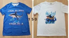 Item thumbnail for item 3185ca4f-6c62-41c5-a843-3493d6dfaaa8