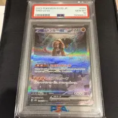 ディンルーex SA PSA10