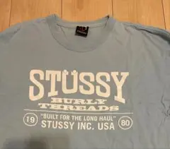Stüssy ライトブルー Tシャツ
