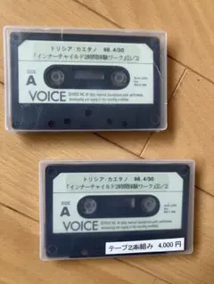 Item thumbnail for item 5d68531a-ef8f-42ba-8605-bae1a258ba38