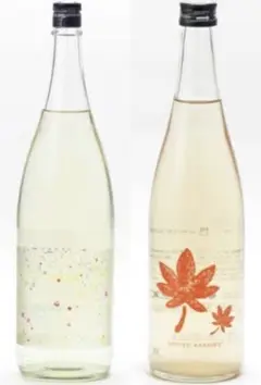 仙禽 × UNITED ARROWS UA もみじ 線香花火 2本セット