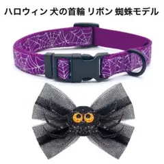 Item thumbnail for item 14ffe75c-b2f0-4dae-b2be-17bc5b7433e4