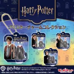 ハリー ポッター ブリスターチャーム コレクション 全4種 コンプリートセット