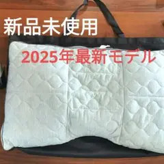 ☆新品未使用☆2025年最新モデル/カバー付き じぶんまくらプレミアム(新)