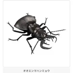 Item thumbnail for item 927beee8-fba9-473b-85cd-cbf6e44f819e