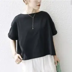 シップスエニィ　ドライ ポンチ バック タック Tシャツ　アダムエロペ、イエナ