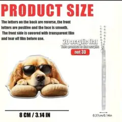 Item thumbnail for item 453fe9de-1c19-4185-a9d2-1e0ea1dc1127