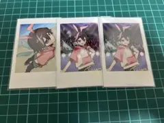 CRフェス チェキ とっぴー Toppy crazy raccoon