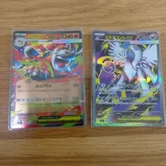 メガバクーダEXrr & メガアブソルEXsr2枚セット