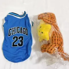 Item thumbnail for item e2a2a5f5-8853-40cd-bd33-81c2ef6f232b