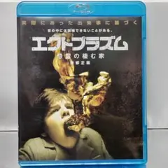 【Blu-ray】エクトプラズム 怨霊の棲む家 無修正版('09米)
