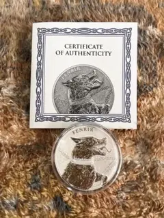 2020 ドイツ　ゲルマニア　CAMOUFLAGE 純銀１オンス銀貨 2020 ドイツ ゲルマニア ALLEGOR 1オンス 銀貨 発行数25000