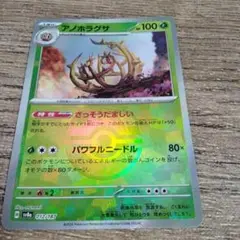 アノホラグサ マスターボール テラスタルフェスex