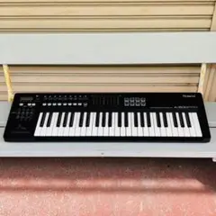 2025年最新】Roland A-500PROの人気アイテム - メルカリ