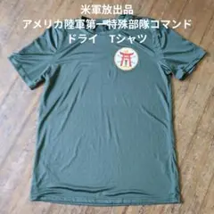 米軍　美品　アメリカ陸軍特殊部隊コマンド　ドライ　Tシャツ S相当