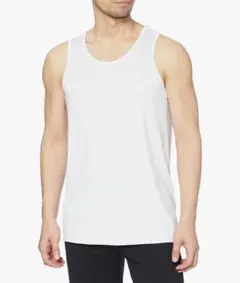 Item thumbnail for item 3a26387b-fa83-477d-abab-a12de4aef177