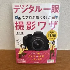 Item thumbnail for item 3e564130-23c8-41d5-932d-cb4f51075516