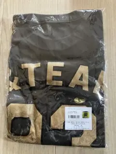 新品 阪神タイガース B-LUCK DYNAMITE 「&TEAM」Tシャツ L