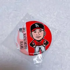 若鷹ガチャ 鷹祭 松本晴 缶バッジ