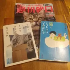 週刊朝日 猫特集 猫エッセイ 合わせて3冊セット