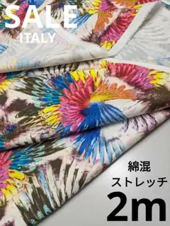 Item thumbnail for item 2db4f121-04f8-4ea8-8fa7-56af323582bc