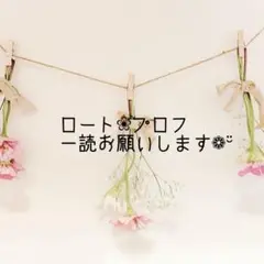 ꕤ専用ページꕤ