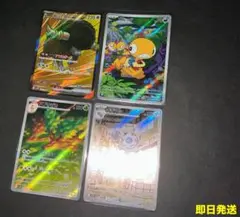 ホワイトフレア　AR まとめ売り
