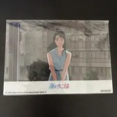 海がきこえる ブロマイド