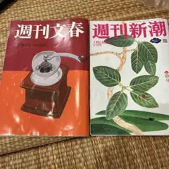 週刊文春 週刊新潮7月24日号　セット