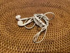 Item thumbnail for item 89b8c56c-4aa0-4676-a205-858da2aac840