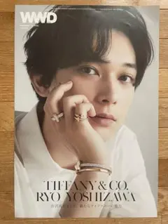 Item thumbnail for item 08283951-34d8-4a4a-a77f-68aedb744185