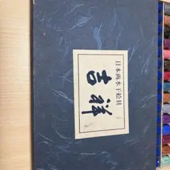 Item thumbnail for item 7b0f2249-e853-4117-8162-b5cbfffe9747