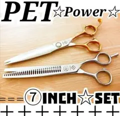 Item thumbnail for item 452ae1e0-2af7-429c-8250-03d60a352295