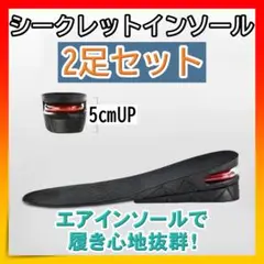 ■シークレットインソール 中敷き 2足分 高さ調節 フリーサイズ サイズ調整