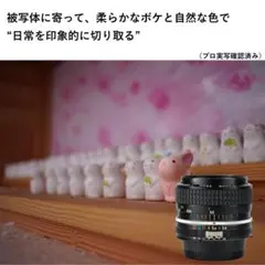 Item thumbnail for item d27f732f-d712-4052-9107-cdd604b84768