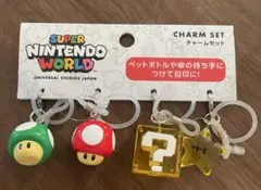 ユニバ　スーパーニンテンドーワールド　チャームセット　新品未使用　キノコ　スター