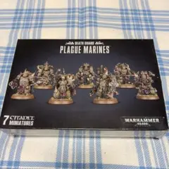 KILL TEAM プレーグマリーンプラモデル データカード付き KILL TEAM プレーグマリーンプラモデル データカード付き - メルカリ