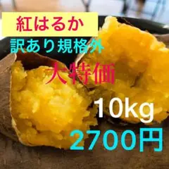 茨城県産さつまいも 訳あり規格外 紅はるか10kg